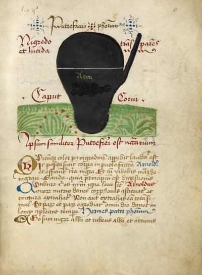 Ms Sloane 2560, f.8 z traktatów alchemicznych, koniec XV wieku (welum) autorstwa German School