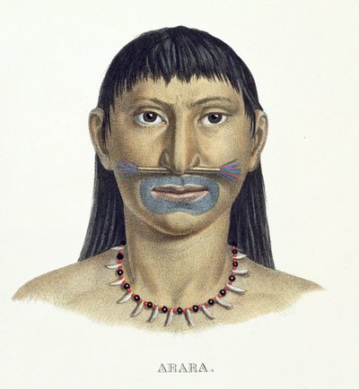 Rodowity człowiek z plemienia Arara z niebieską farbą na twarzy, z Atlasu podróży w Brazylii Johanna Baptist von Spix (1781-1826) i Karla Friedricha Philippa Martiusa (1794-1868), wydany ok. 1835-50 (kolor autorstwa German School