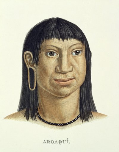 Rodowity człowiek z plemienia Aroaqui, z Atlas of a Journey in Brazil autorstwa Johanna Baptist von Spix (1781-1826) i Karla Friedricha Philippa Martiusa (1794-1868), opublikowany ok. 1835-50 autorstwa German School
