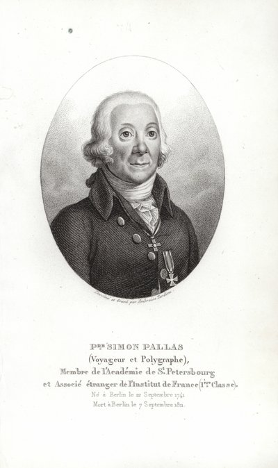 Piotr Szymon Pallas autorstwa German School
