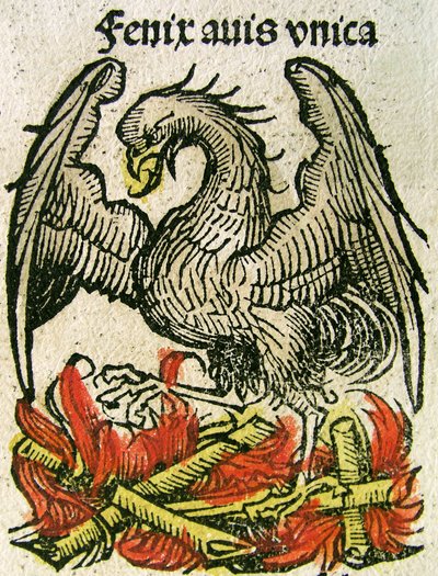 Feniks opublikowany w Kronice Norymberskiej, 1493 autorstwa German School