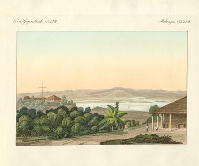 Pulu Penang (kolorowy grawerunek) autorstwa German School