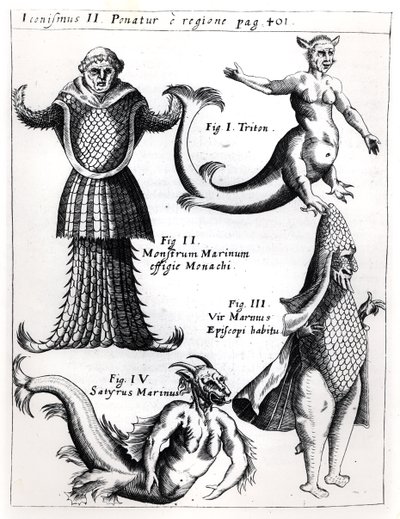 Morskie potwory, ilustracja z Physica Curiosa autorstwa Gaspara Schotta S.J. (1608-66), wydany Würzburg 1662 autorstwa German School