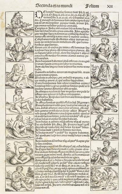 „Dziwni ludzie i stworzenia”, ilustracja z „Księgi Kronik”. Zapis tego dzieła księgi kronik...”, Hartmann Schedel autorstwa German School