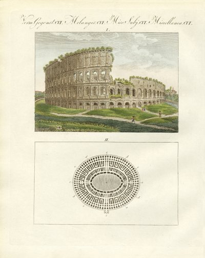 Koloseum czyli amfiteatr cesarza Flawiusza Wespazjana (kolorowa grawerunek) autorstwa German School