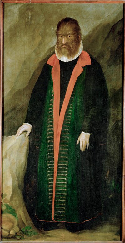 Włochaty mężczyzna, Petrus Gonzalvus, urodzony w 1556 roku na Teneryfie ... autorstwa German School