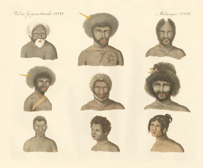 Papuasowie (kolorowy grawerunek) autorstwa German School