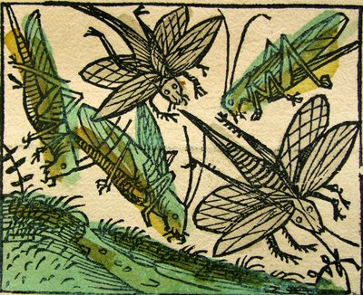 Plaga szarańczy, opublikowana w Kronice norymberskiej, 1493 autorstwa German School