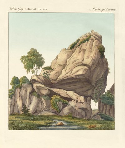 Rzekomy skamieniały Reuter z Fontainebleau (kolorowy grawerunek) autorstwa German School