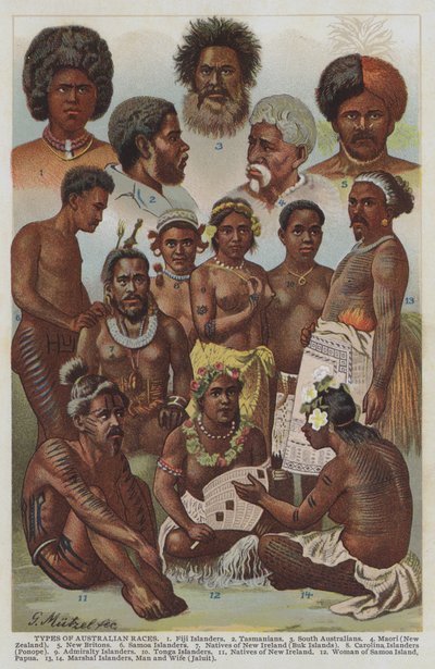 Rodzaje ras australijskich (kolor lito) autorstwa German School