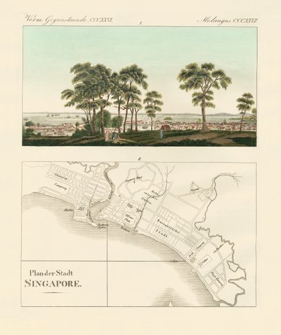 Widok i mapa wschodnioindyjskiego zakładu Singapur (kolorowy grawerunek) autorstwa German School