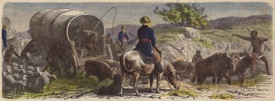 Pociąg wagonowy w RPA (kolorowy grawerunek) autorstwa German School