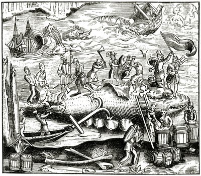 Połów wielorybów, według drzeworytu w Cosmographie Universelle of Munster, opublikowanym 1552 autorstwa German School