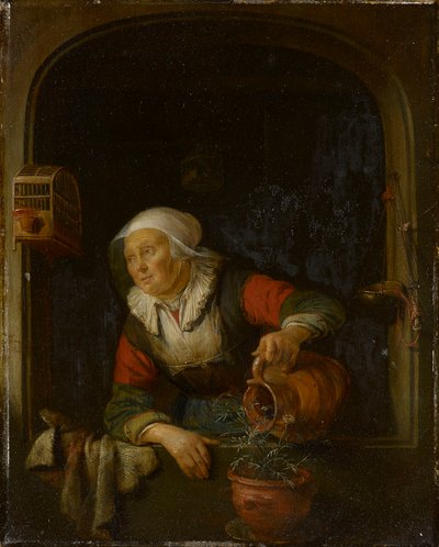 Stara kobieta podlewająca doniczkę róż autorstwa Gerrit Dou