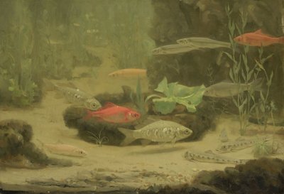 Złota i Srebrna Rybka w Akwarium autorstwa Gerrit Willem Dijsselhof