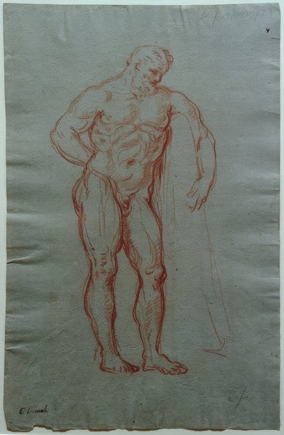 Studium według postaci Herkulesa Farnese autorstwa Giacinto Calandrucci