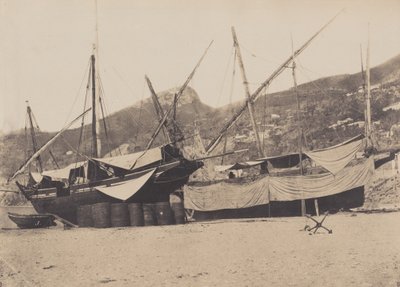 Salerno autorstwa Giacomo Caneva