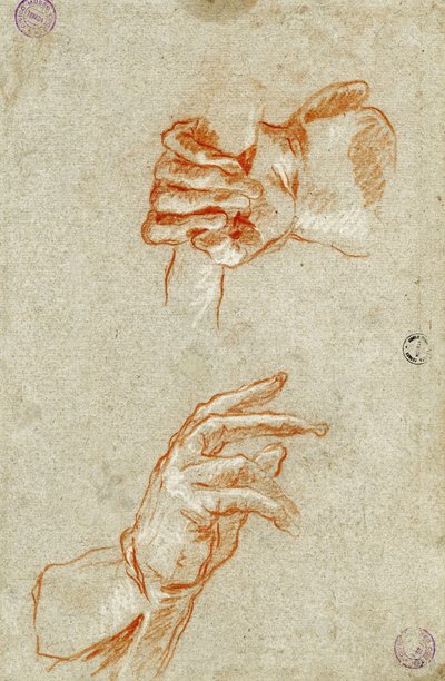 Studium rąk. autorstwa Giambattista Tiepolo
