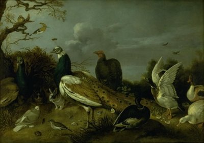 Pawie, Kaczki i inne Zwierzęta autorstwa Gijsbert Gillisz. de Hondecoeter