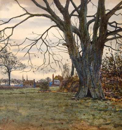 Starożytne drzewo autorstwa Gilbert Baird Fraser