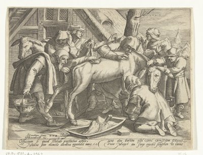 Mycie osła autorstwa Gillis van Breen