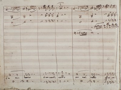 Partytura muzyczna do arii La calunnia e un venticello w Cyruliku sewilskim (tusz na papierze) autorstwa Gioachino Rossini