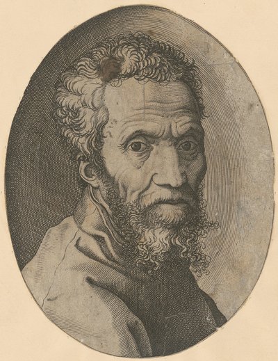 Portret Michała Anioła autorstwa Giorgio Ghisi