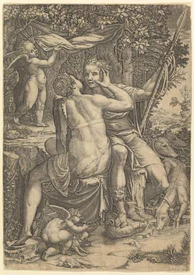 Wenus i Adonis, ca. 1570 autorstwa Giorgio Ghisi
