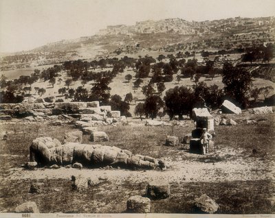 Agrigento: widok na ruiny świątyni Jowisza autorstwa Giorgio Sommer