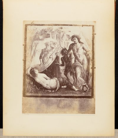 Świeży Bachus i Ariadna Pompejańska autorstwa Giorgio Sommer