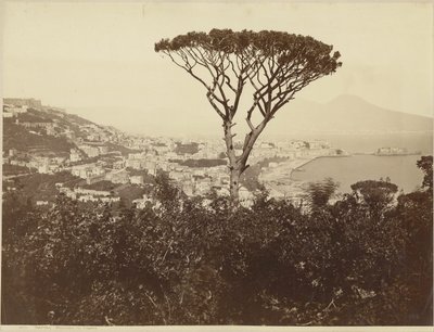  autorstwa Giorgio Sommer