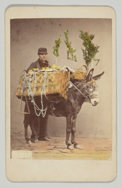  autorstwa Giorgio Sommer