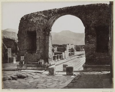  autorstwa Giorgio Sommer