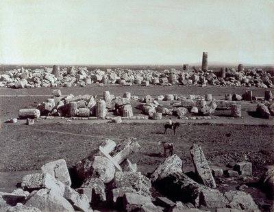 Panorama pozostałości Świątyni Minerwy i Świątyni Apolla w Selinunte. W ruinach stanowiska archeologicznego jest mężczyzna na koniu autorstwa Giorgio Sommer