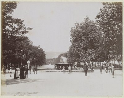  autorstwa Giorgio Sommer