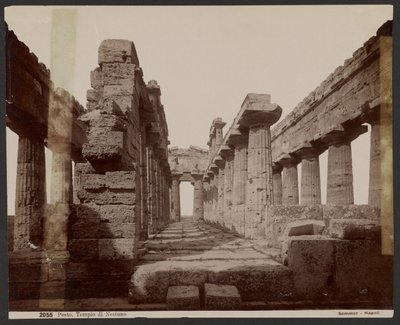 Świątynia Neptuna, Paestum autorstwa Giorgio Sommer