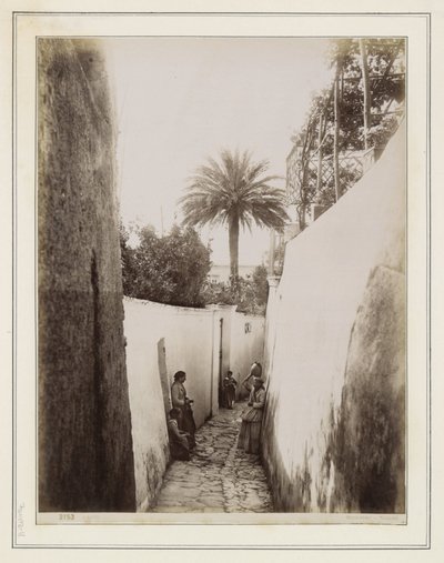  autorstwa Giorgio Sommer