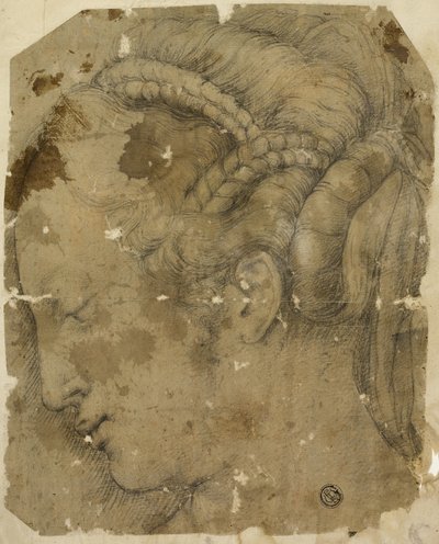 Kobieca głowa w profilu w lewo autorstwa Giorgio Vasari