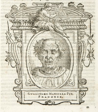 Mediolan, Biblioteca Braidense, Vite de piv excellent, Giorgio Vasari 1568, Guglielmo Marcilla autorstwa Giorgio Vasari