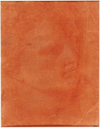 Głowa w profilu trzy czwarte (rekto); Stojący młody mężczyzna wskazujący w lewo i szkice stóp, ramienia (verso) autorstwa Giorgione