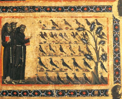 Historie św. Franciszka: kazanie św. Franciszka do ptaków, fresk Giotta (1267-1337), ok. 1325. Kaplica Bardi Vernio, bazylika Santa Croce, Florencja. Włochy autorstwa Giotto (c.1266 1337)