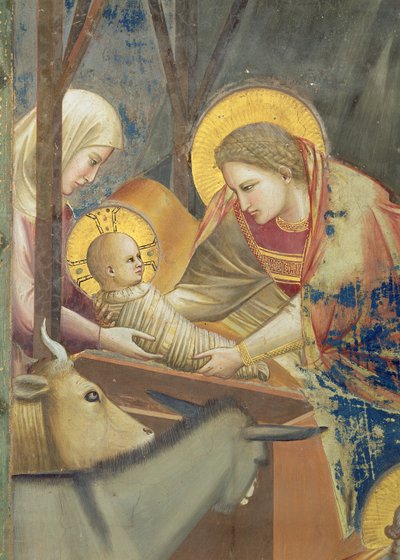 Narodzenie Pańskie, ok. 1305 (fresk) (detal z 65197) autorstwa Giotto (c.1266 1337)
