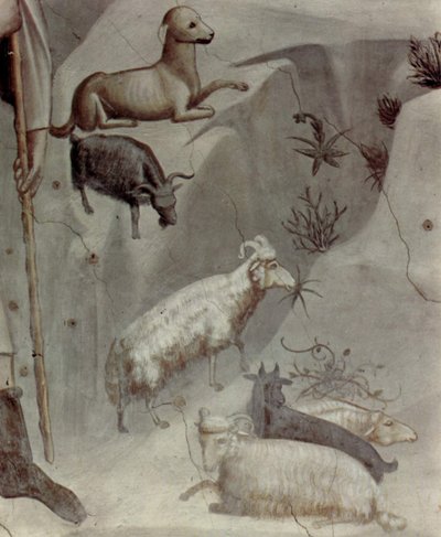 Sceny z życia Joachima: 5. Sen Joachima

 (szczegół) autorstwa Giotto