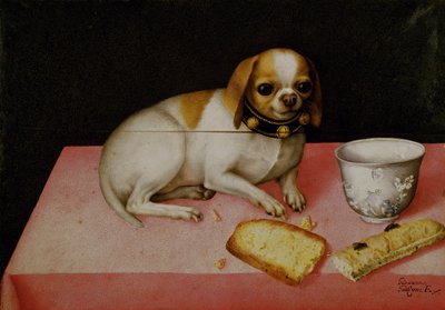 Portret psa (olej na płótnie) autorstwa Giovanna Garzoni