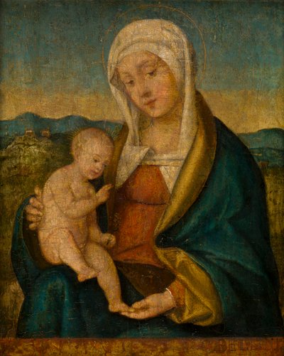 Madonna z Dzieciątkiem, ok. 1450-1516 (olej na desce) autorstwa Giovanni (style of) Bellini