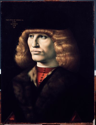 Portret młodego mężczyzny, ok. 1495 (olej na drewnie) autorstwa Giovanni Ambrogio de Predis