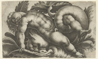 Śpiące putto na delfinie Putti o morskich stworzeniach (tytuł serii) autorstwa Giovanni Andrea Maglioli