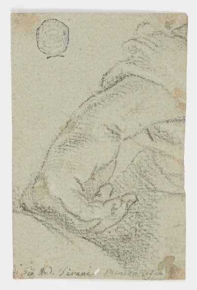 Rysunek, Studium: Lewa ręka w pozycji pochylonej, ok. 1650 r. autorstwa Giovanni Andrea Sirani