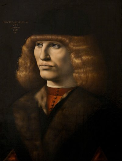 Portret młodego mężczyzny, ok. 1500 (olej na desce) autorstwa Giovanni Antonio Boltraffio