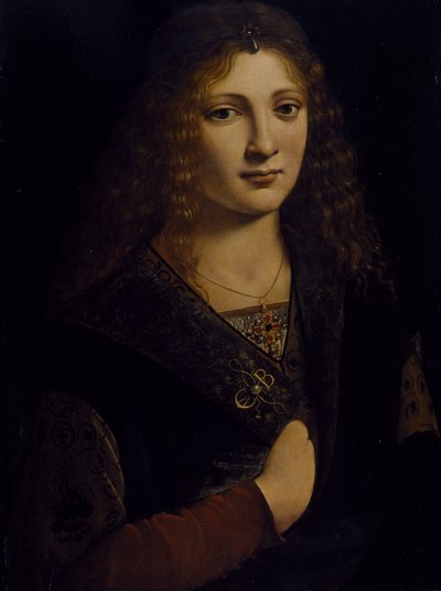 Portret młodego mężczyzny, prawdopodobnie Girolamo Casio, ok. 1500 (olej na desce) autorstwa Giovanni Antonio Boltraffio